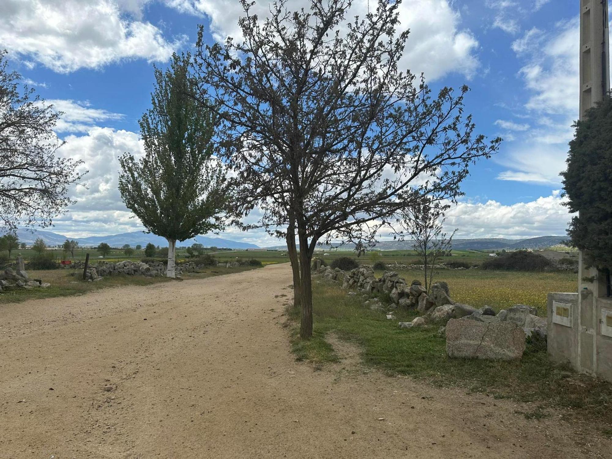 Casa Rural El Cordel La Serrada Dış mekan fotoğraf