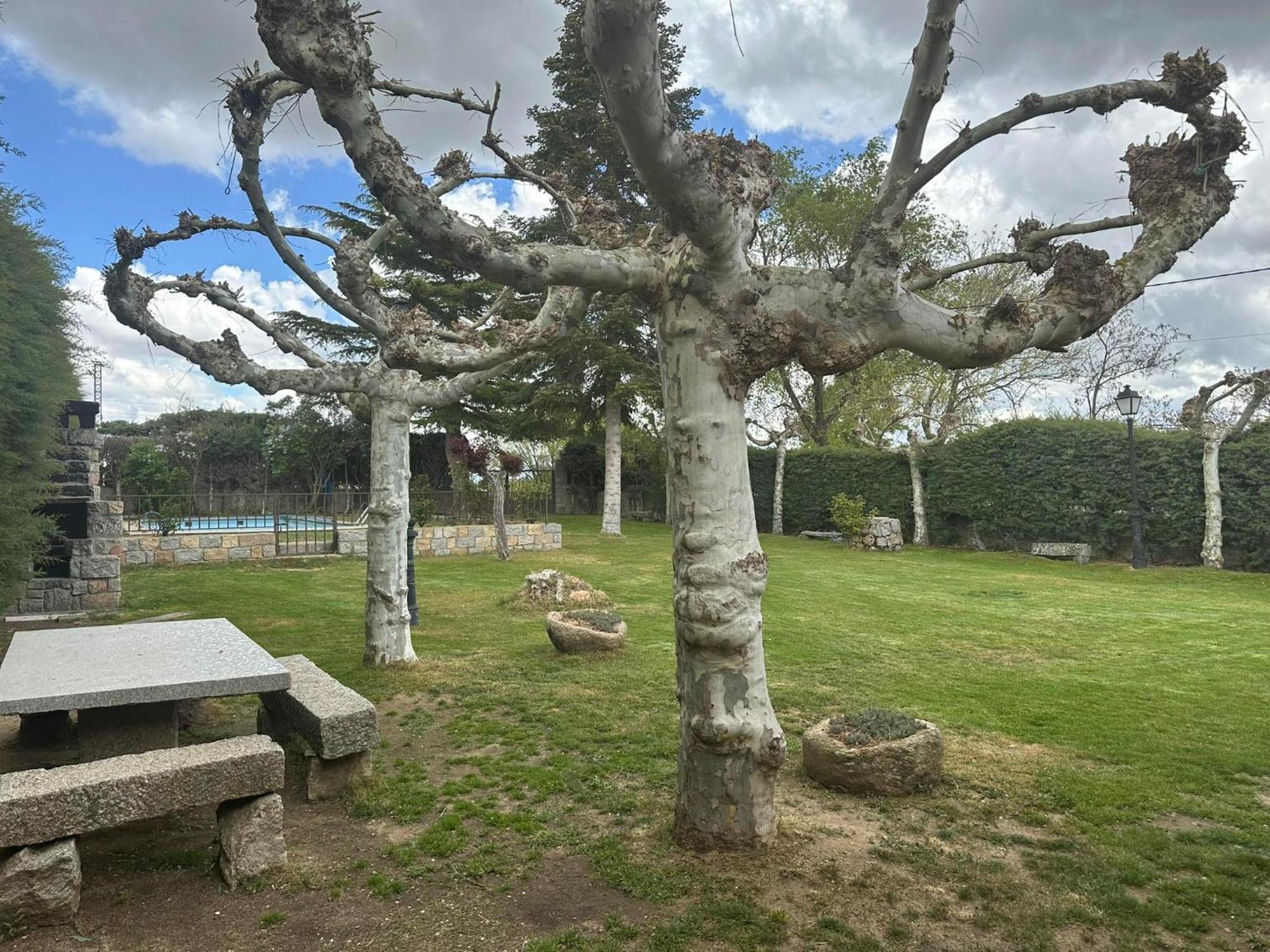 Casa Rural El Cordel La Serrada Dış mekan fotoğraf